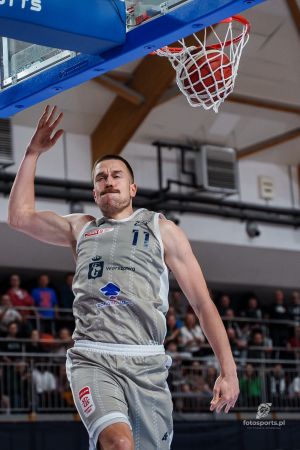 dziki 7.02.26.