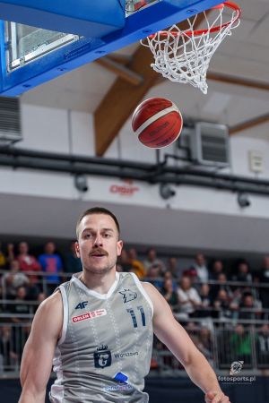 dziki 7.02.26.